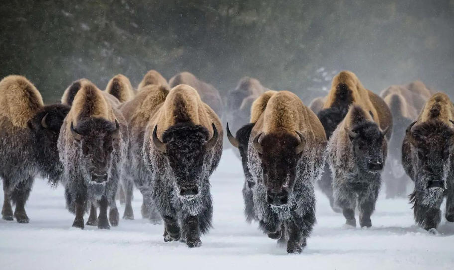 陕西金丝峡景区官网轮播图3